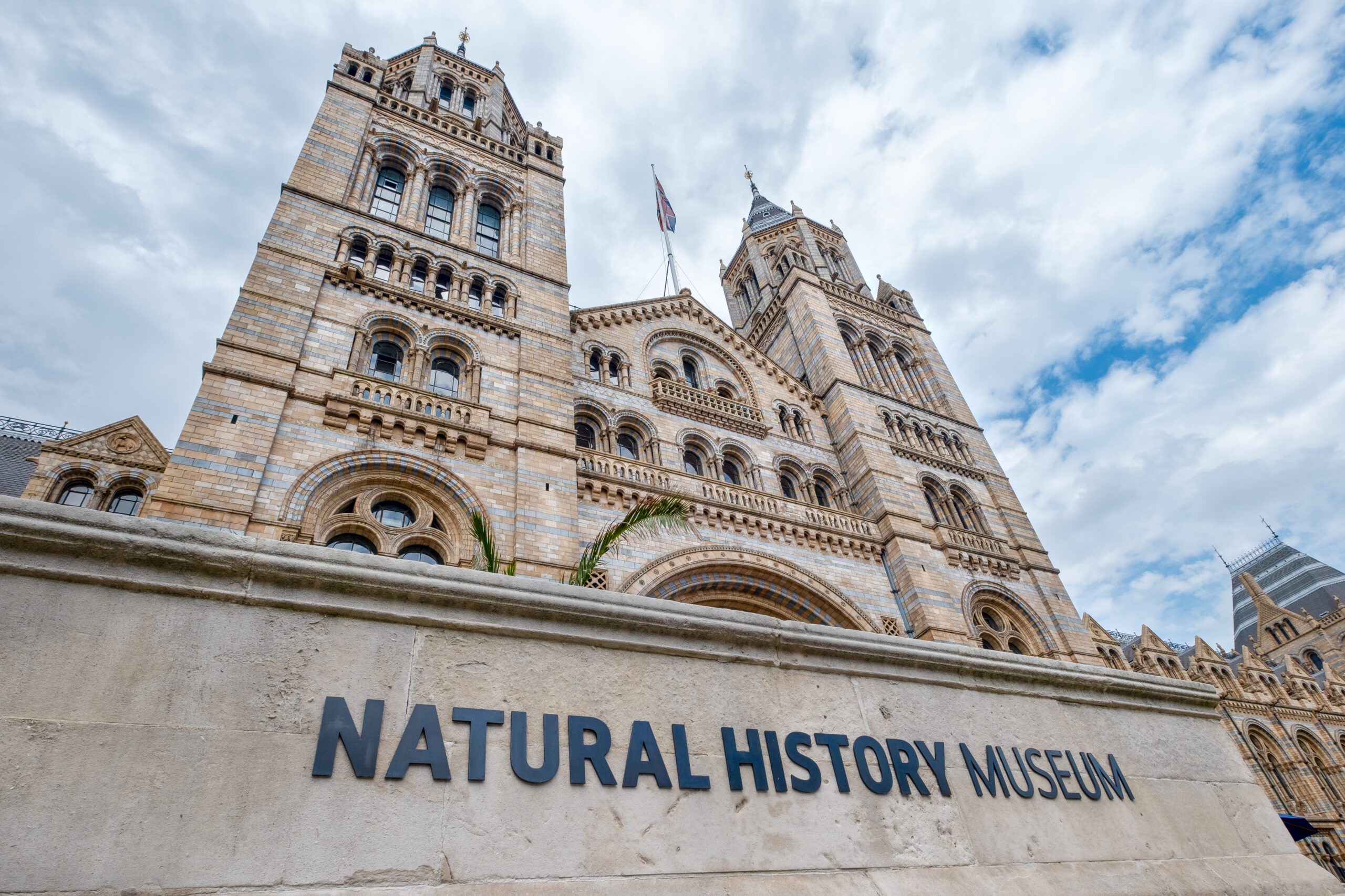 Natural History Museum : Un Voyage au Cœur de la Planète